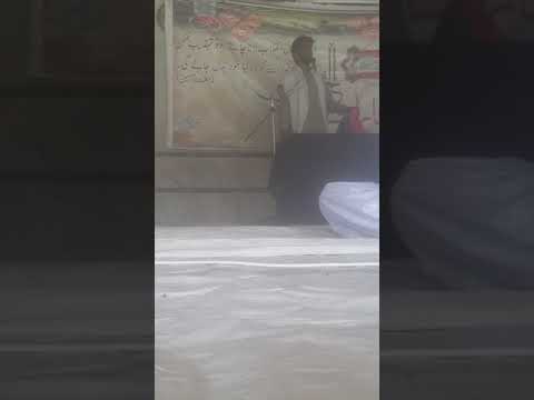 قصيدہ حسين ع بادشاه ہے منقبت خواں جناب ذوالفقار علی حیدری 