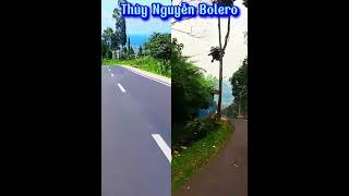 Nhạc Trữ Tình