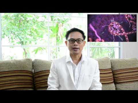 ทำไมเราถึงแก่ #3 นาฬิกาชีวิต (Biological Rhythms)