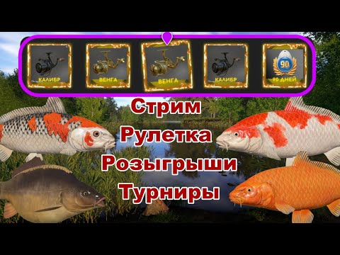 РР 4 Карпы Кои ) - YouTube