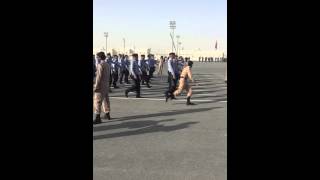 موسيقى شرطة قطر