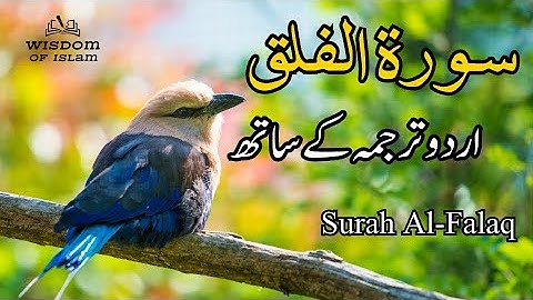 "Surah Al-Falaq with Urdu Translation | سوره الفلق کا اردو ترجمہ | Surat NO 113 |  Wisdom of Islam"