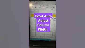 Excel Auto Adjust Column Width #excel #viralshorts #exceltips #msword #computer