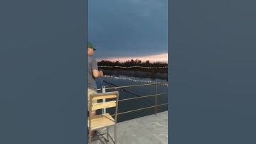 Câu cá  hồ dịch vụ #cauca #câucá #fishing #fish