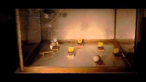 Mouse trap demo (chain reaction, 7 mouse traps, high speed)