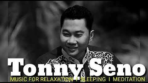 TONNY SENO, MUSIC FOR RELAXATION  I  SLEEPING  I  MEDITATION