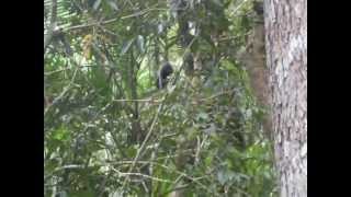 SDC12603.AVI