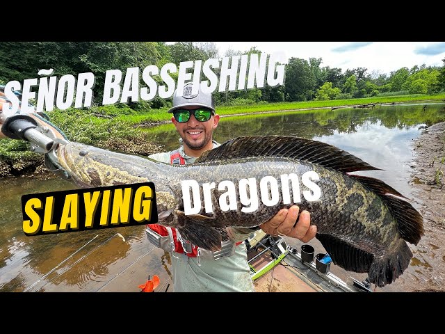 How to destroy a buzzbait with one catch! GIANT SNAKEHEAD!! 