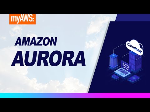 What is Amazon
