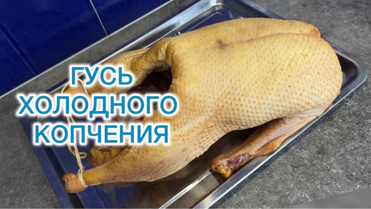 ГУСЬ ХОЛОДНОГО КОПЧЕНИЯ К ПРАЗДНИКУ.  НА КАЖДЫЙ ДЕНЬ