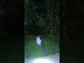 Beat around the bush