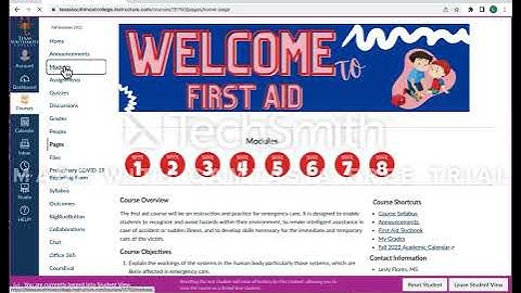 How to Navigate Canvas