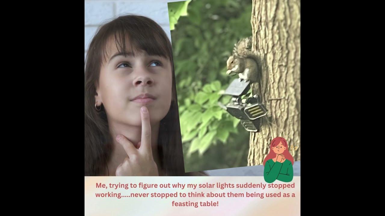 Me, trying to figure out why my SOLAR LIGHTS suddenly stopped working