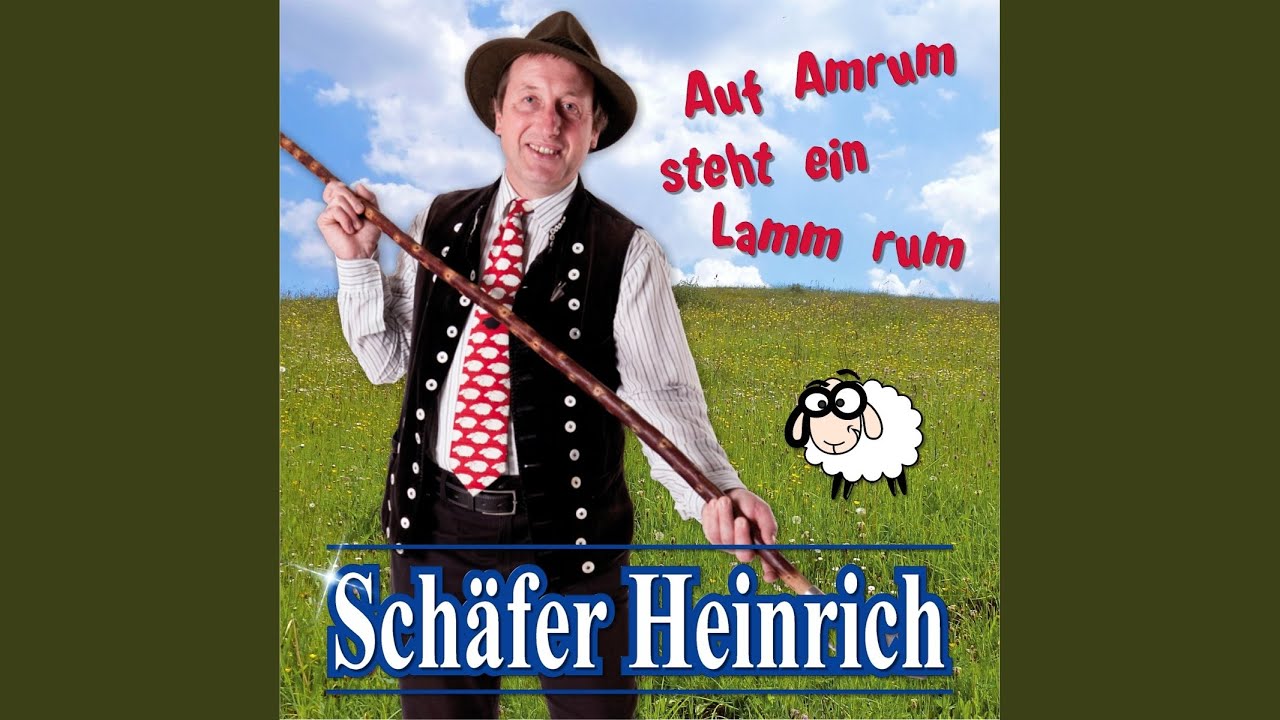 Schäfer Heinrich Auf Amrum Steht Ein Lamm Rum