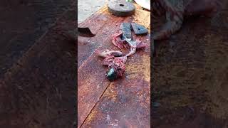 Amazing Tuna Fish Cutting Skill | Most Popular Fish Market #Short