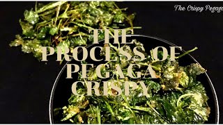 Cara Pembuatan Pegaga Crispy screenshot 3