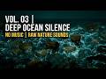 1 HOUR Deep Ocean Silence 🌊 240fps Super Slow Motion | No Music • Sleep • Study • Focus