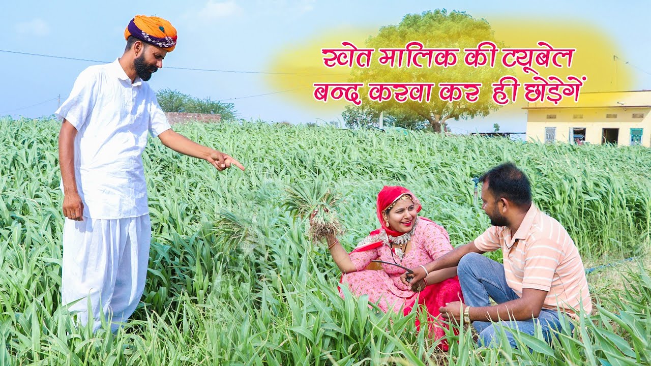खेत का मालिक को आखिर बंद करनी पड़ रही है ट्यूबवेल  | Rajasthani Comedy Video #comedy