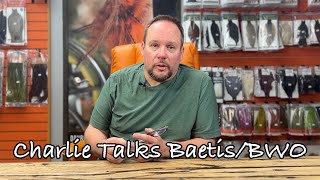 Bug Talk: Baetis