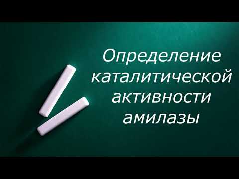 Каталитическая активность амилазы