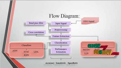 Electroencephalography (EEG) signal processing for epilepsy and autism spectrum disorder diagnosis