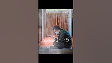 سورة الحج {ذلك بأن الله هو الحق وأنه يحي الموتى وأنه على كل شيء قدير} بصوت القارئ عبد الرحمن مسعد 💫✨