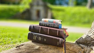 What Have Ive Been Learning On My Spiritual Journey? Using My ESV Power Team @catwoods5499