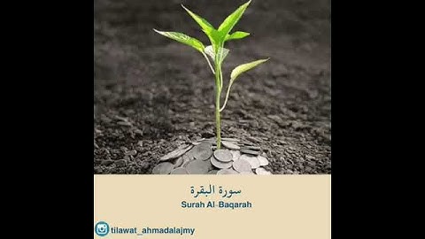 #تلاوات #ماهر_المعيقلي #ياسر_الدوسري #ناصر_القطامي #السديس #خالد_الغامدي(4)