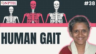 #38 Human Gait | Mechanics of Human Movement