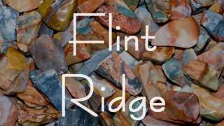 Flint Ridge Preserve and Museum (Licking County)