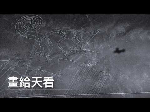 鳥不管