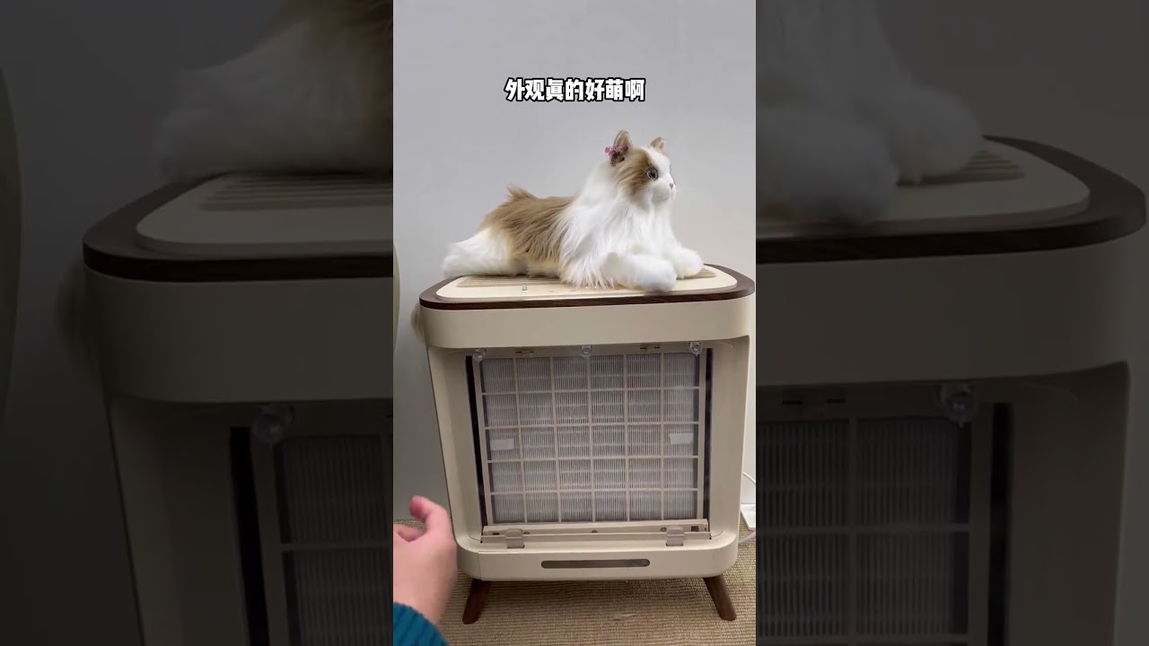 47平小家的生活味？今天探展！