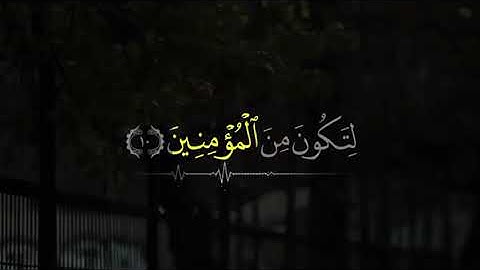 #ياسر_الدوسري #سورة_القصص #قران #quran 