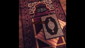 القرآن الكريم ربيع القلوب 💗❤️
