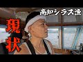『黒潮大蛇行終息！？』半年ぶりのシラス漁は果たして…