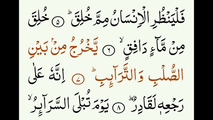 Fohishalar Kamyanka Buzka Mushuk osilib turibdi