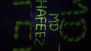 MD HAFEEZ " Name Art Grape 🍇 #shortsfeed ##shorts #viral #trending #art #viralvideos #shortsviral