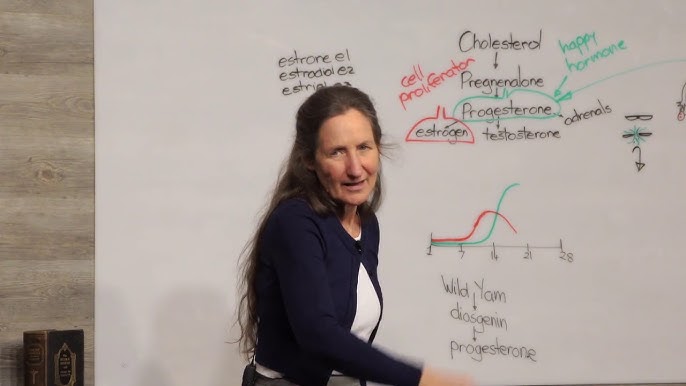 From Sickness to Health Part 2 of 10 | The True Cause of Disease Part 2 by  Barbara O'Neill - YouTube