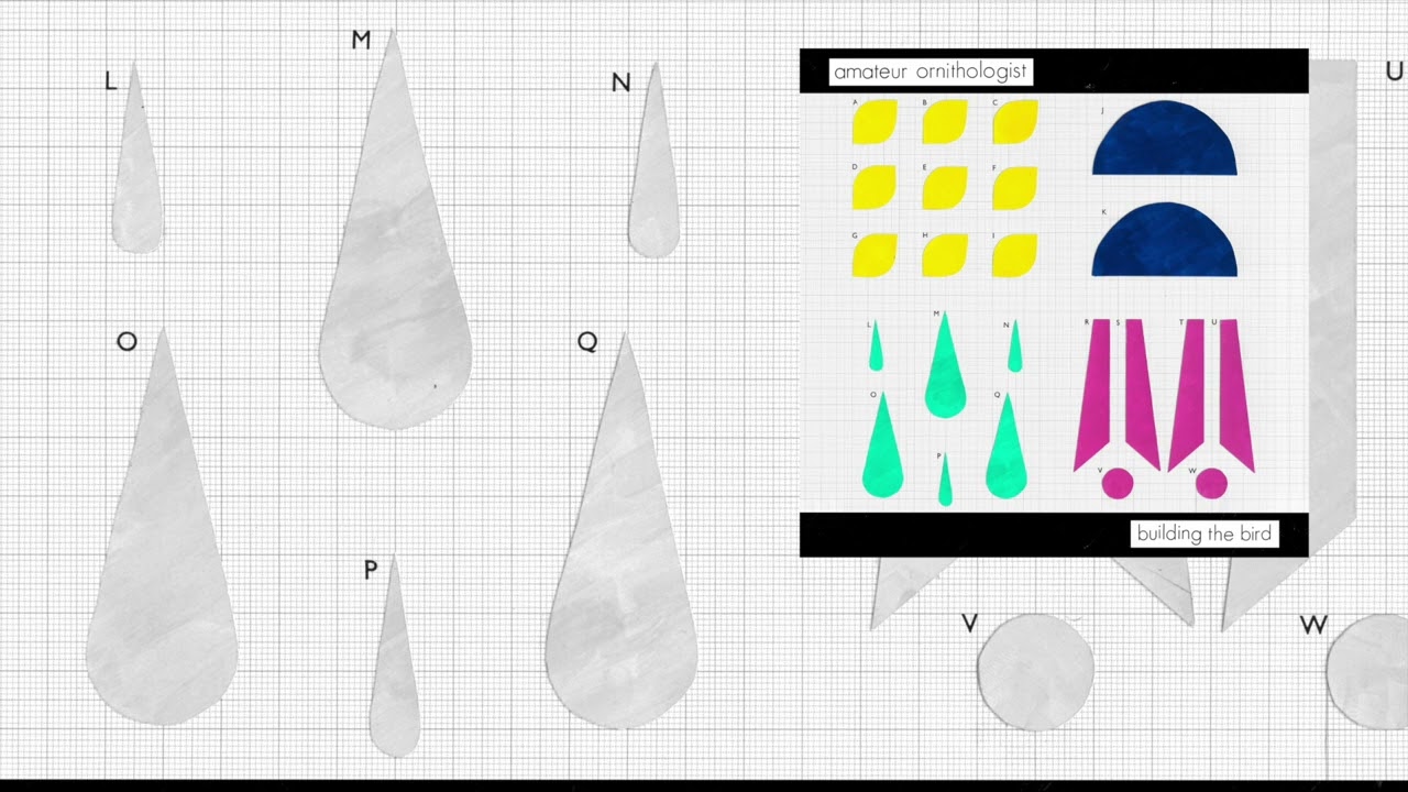 Amateur Ornithologist - I Told A Lie (Official Audio)