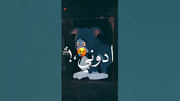 اغنية خدو منى كل حاجه توم و جيرى 