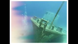 Diving With Lady G Diver Port Antonio Ja