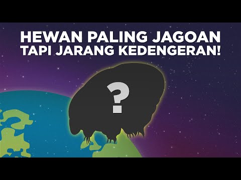 Video: Apakah rusk diuji pada hewan?