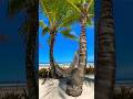 Короткий момент тишины и гармонии - уносящие мысли прочь от суеты #nature #relax ocean