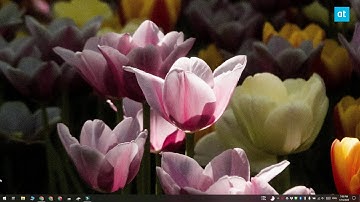 How to access the user folder on Windows 10