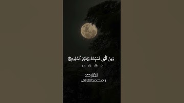آيات بصوت القارئ محمد الغزالي 🌹
