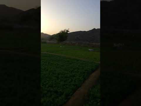 مزارع الجموم 2