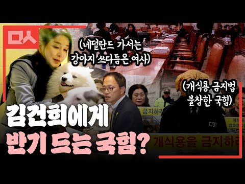 김건희는 네덜란드에서 개식용 금지법 말했는데, 국회에서 표결할 때 퇴장해버린 국힘 (<strong>ft</strong>. <strong>박주민</strong>)
