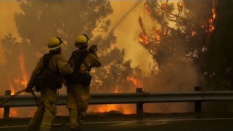 Firefighters battle California forest blaze