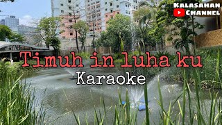 Timuh In Luha Ku | KARAOKE