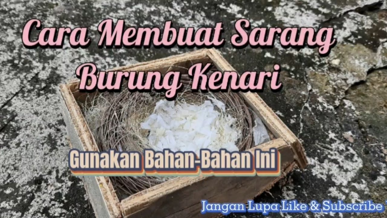 Membuat Sarang Burung Kenari yang Nyaman